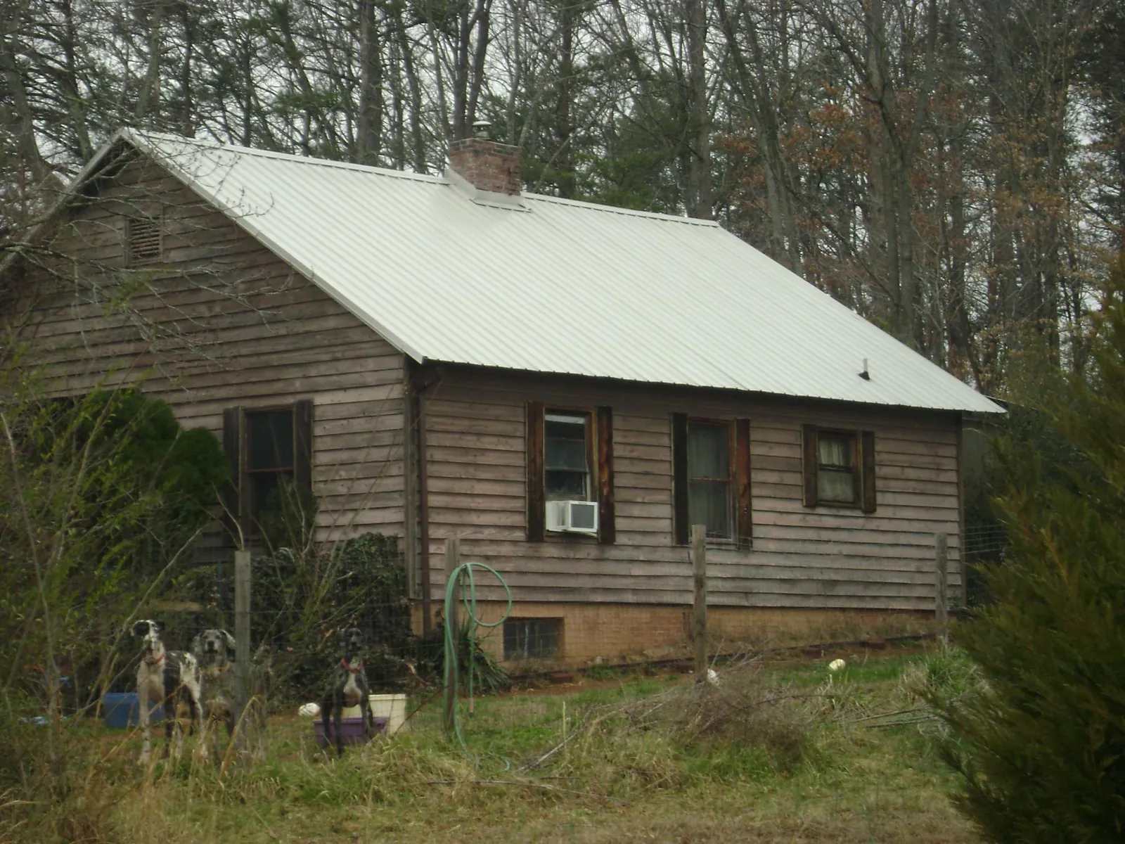 White metal roof on an old wood sided farmhouse, from a Asphalt Shingle Roof Repair job in Gary